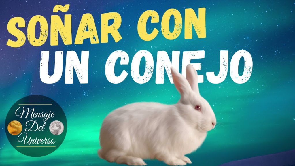 sonar con un conejo blanco