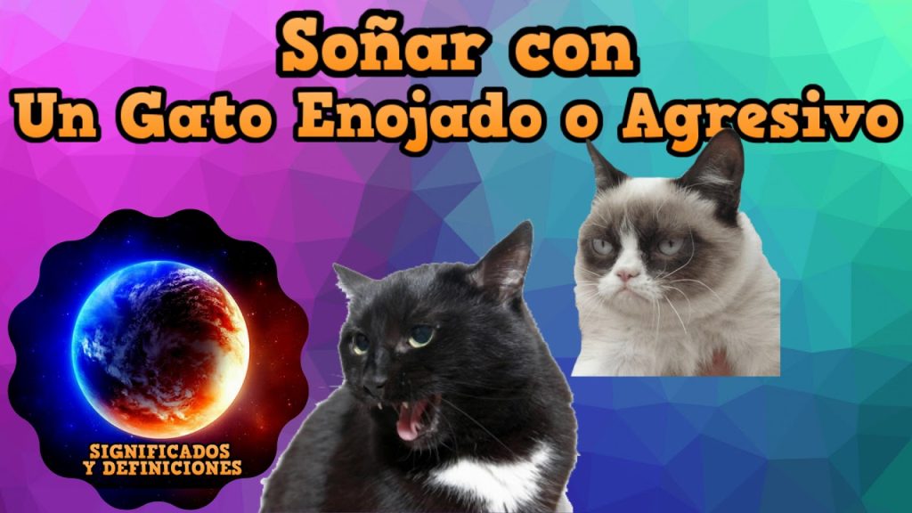 sonar con un gato agresivo