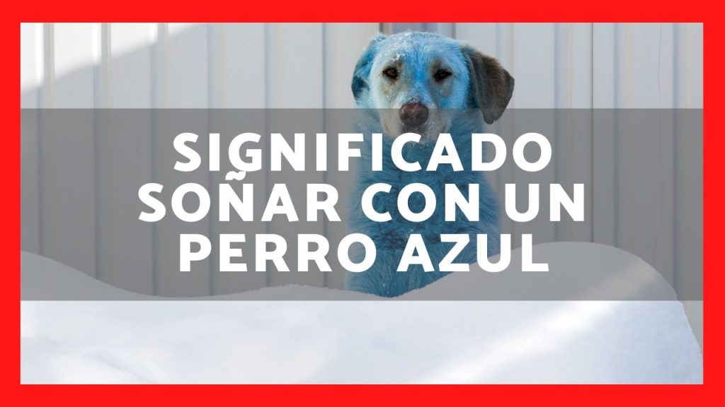 sonar con un perro azul