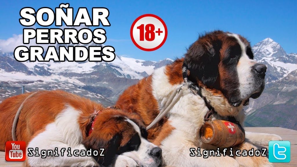 sonar con un perro gigante