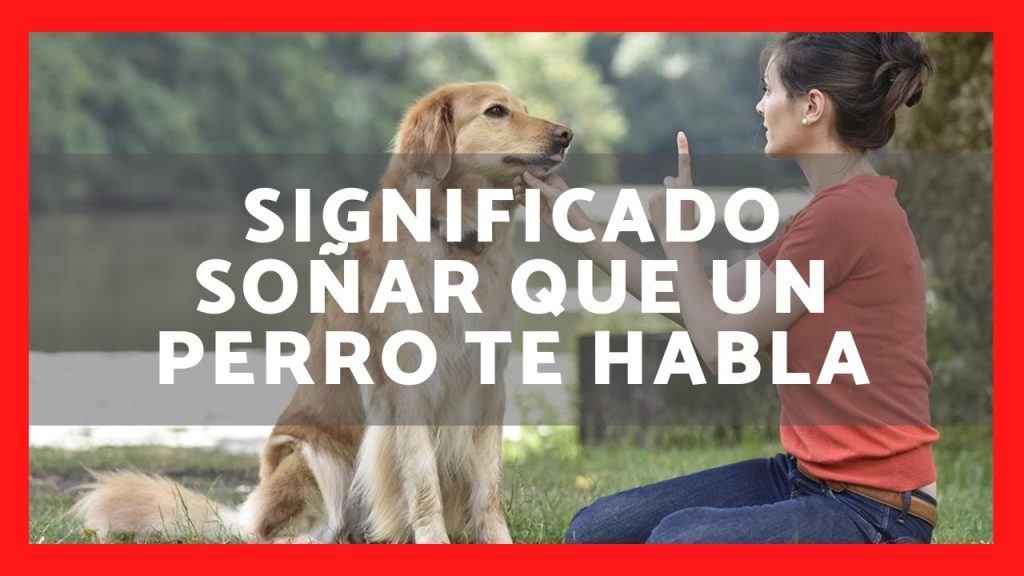 sonar con un perro que habla 1