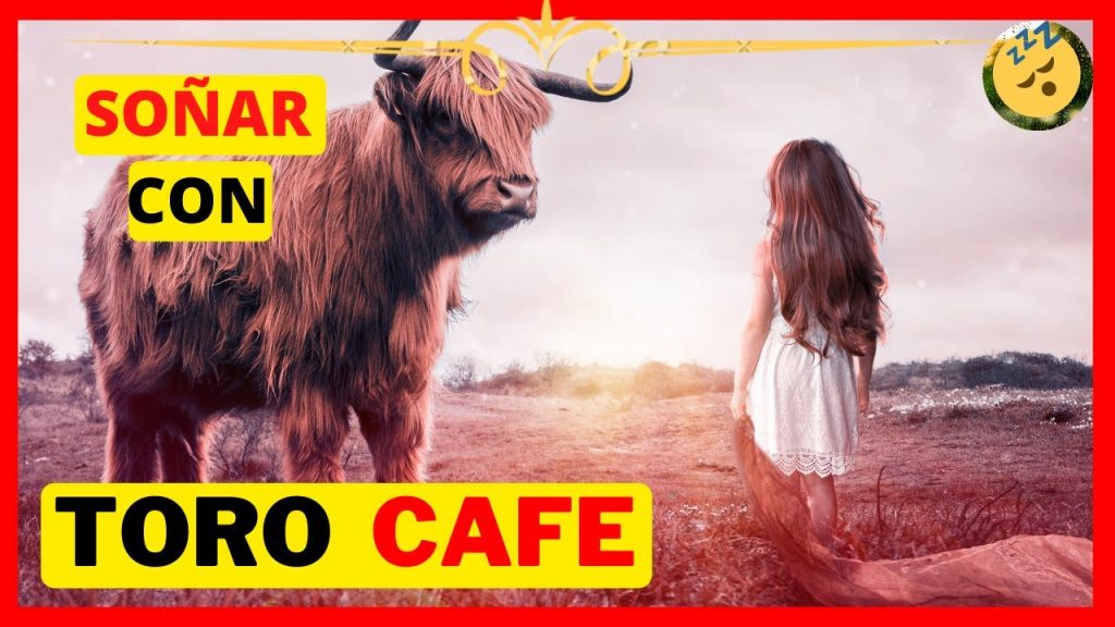 sonar con un toro cafe©