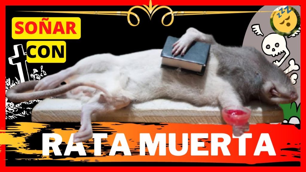 sonar con una rata muerta