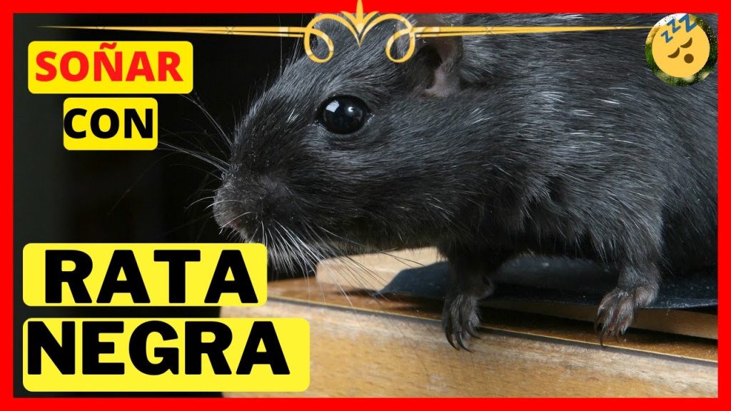 sonar con una rata negra corriendo