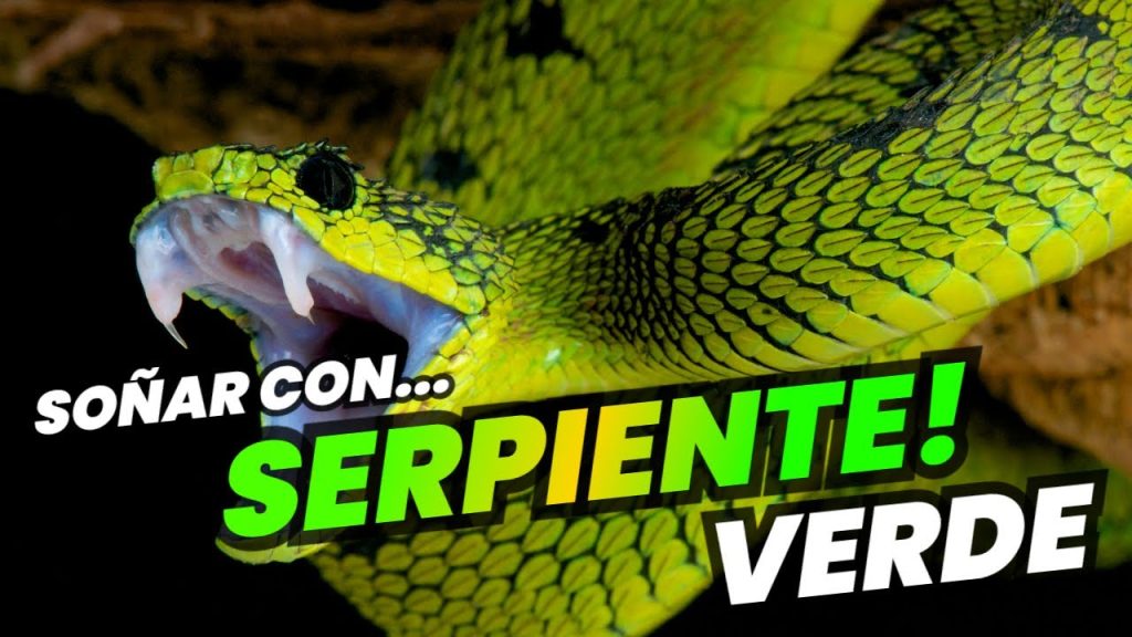 sonar con una serpiente verde