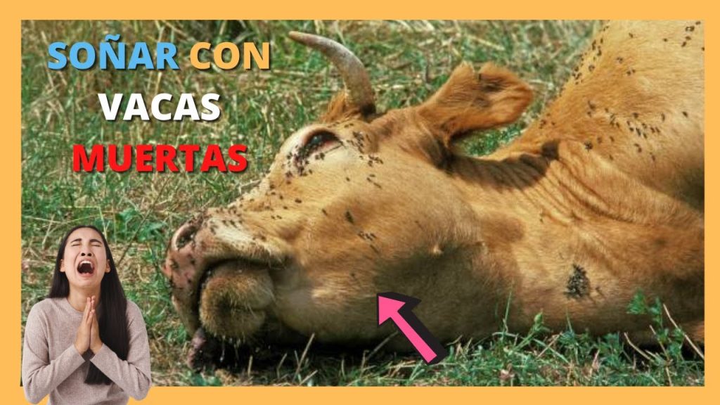 sonar con vaca muerta