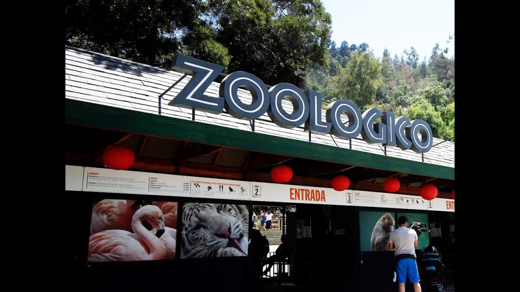 sonar con zoologico