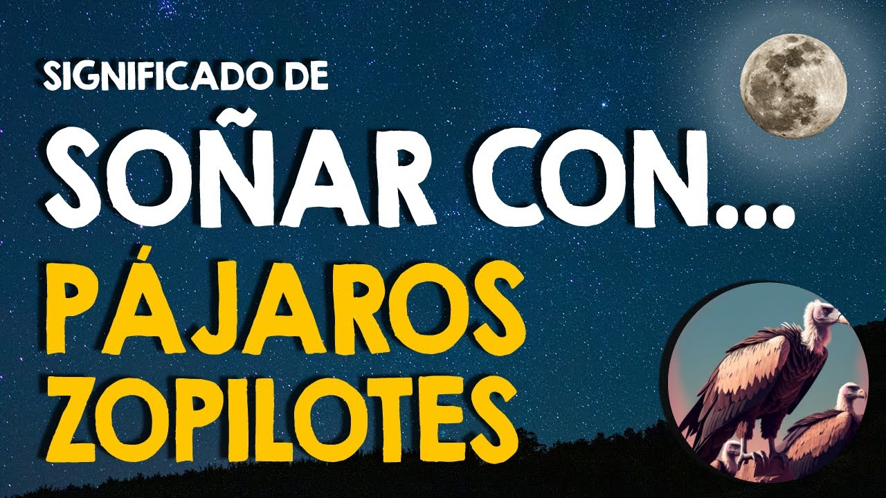 ¿Qué significa soñar con zopilotes? Descubre el misterio detrás de este