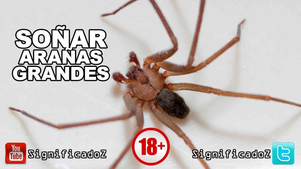 que significa sonar con aranas grandes 2