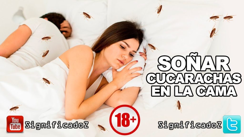 que significa sonar con cucarachas en la cama