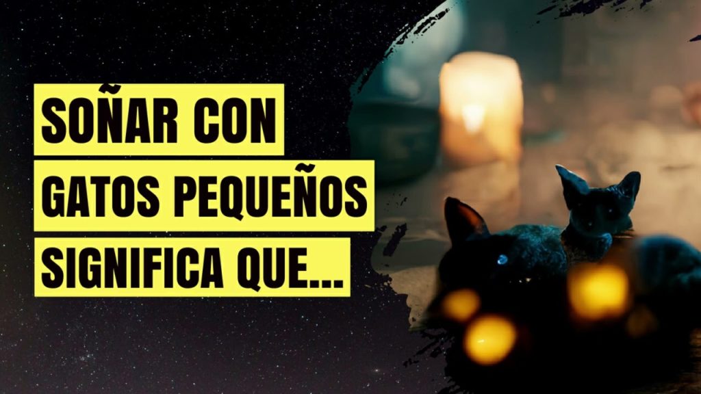 que significa sonar con gatos pequenos