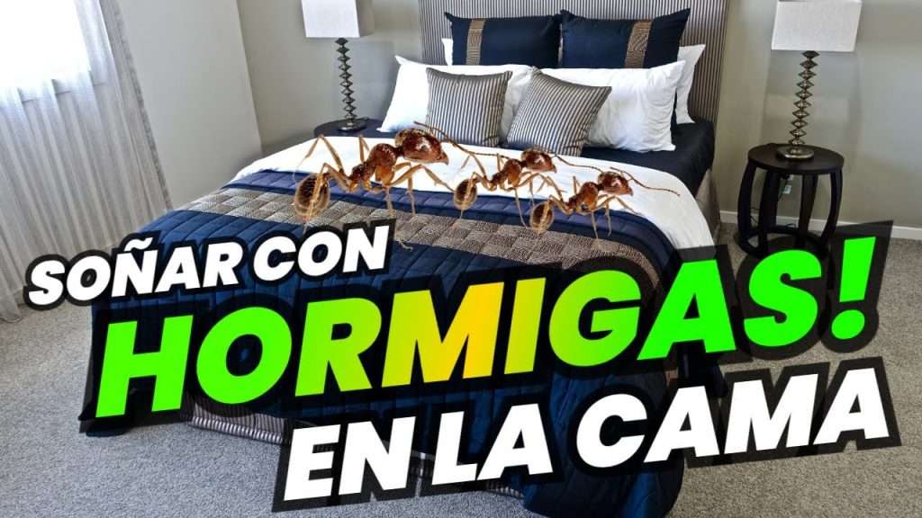 que significa sonar con hormigas en la cama