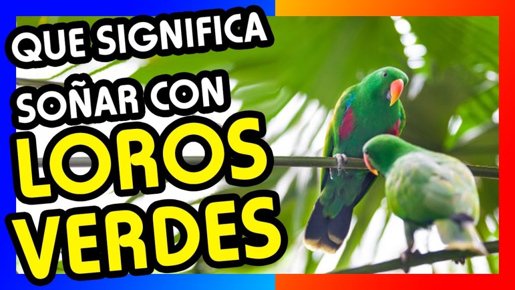 que significa sonar con loros verdes