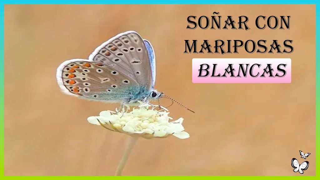 que significa sonar con mariposas blancas