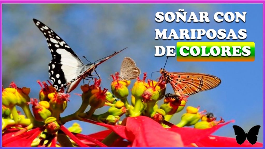 que significa sonar con mariposas de colores