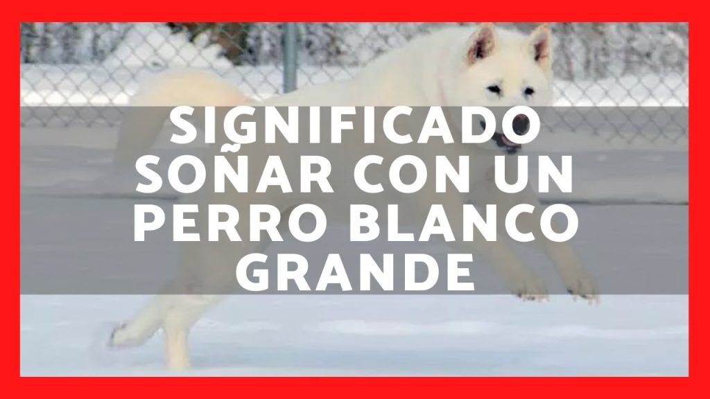 que significa sonar con perros blancos