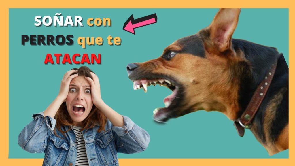 que significa sonar con perros que te atacan 2