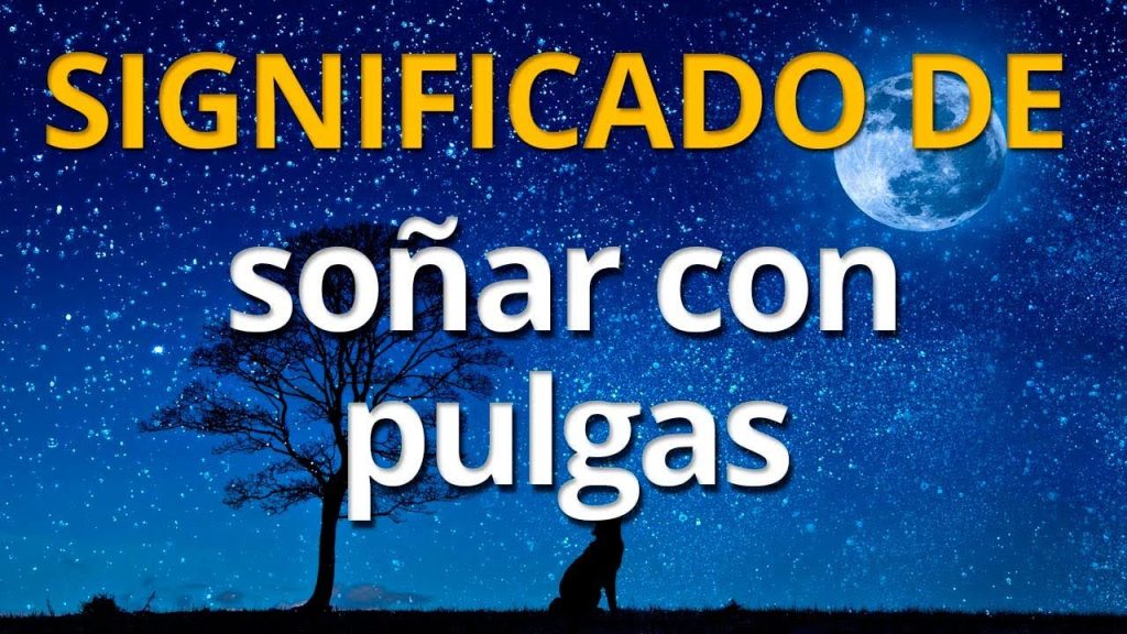 que significa sonar con pulgas en la cama