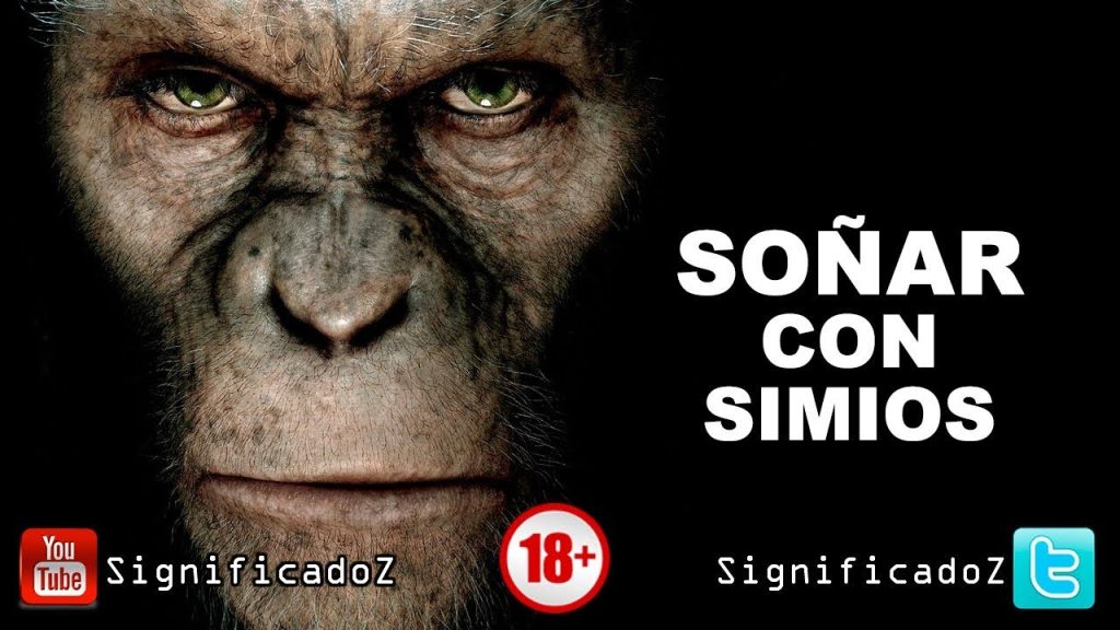 que significa sonar con simios 1