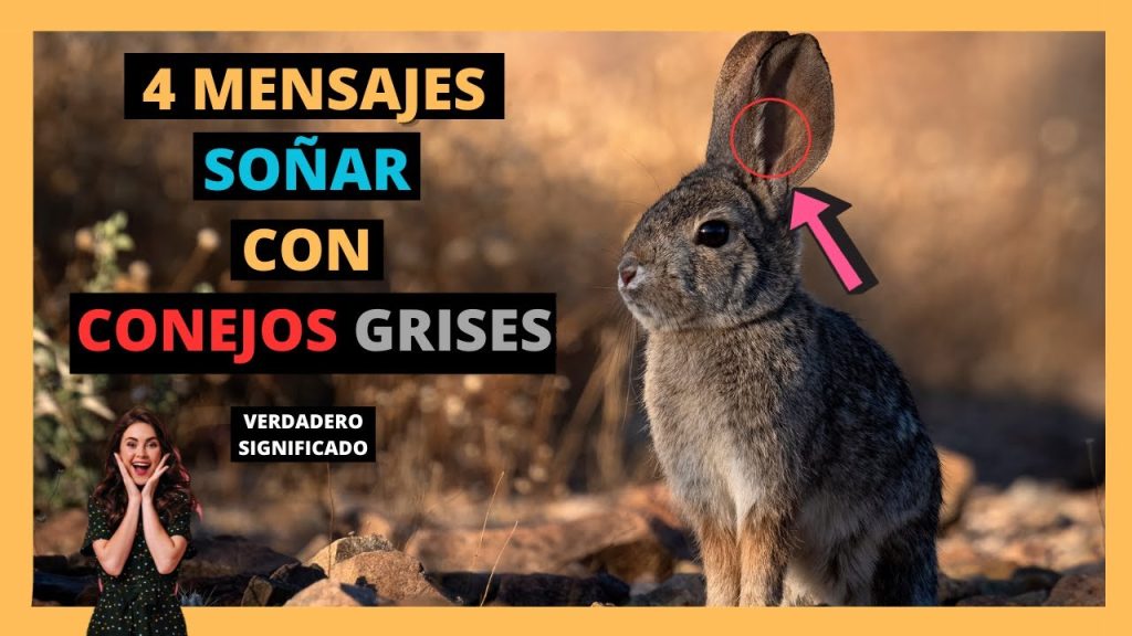 que significa sonar con un conejo gris