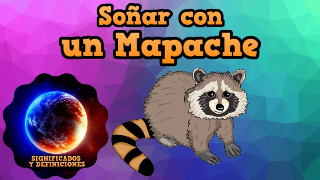 que significa sonar con un mapache