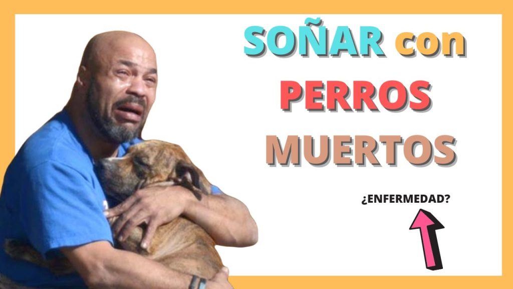 que significa sonar con un perro muerto 2