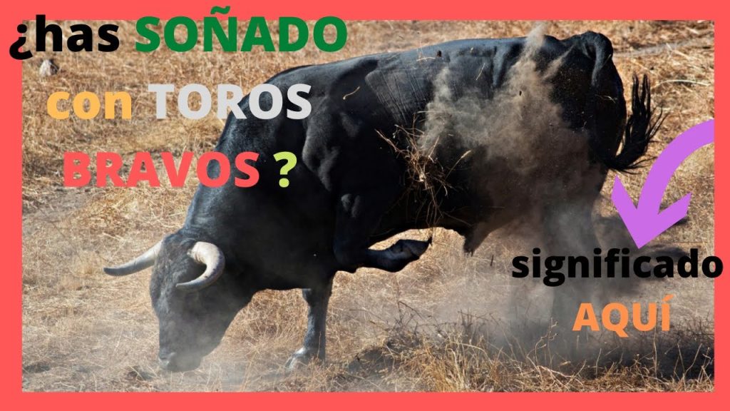 que significa sonar con un toro bravo 1