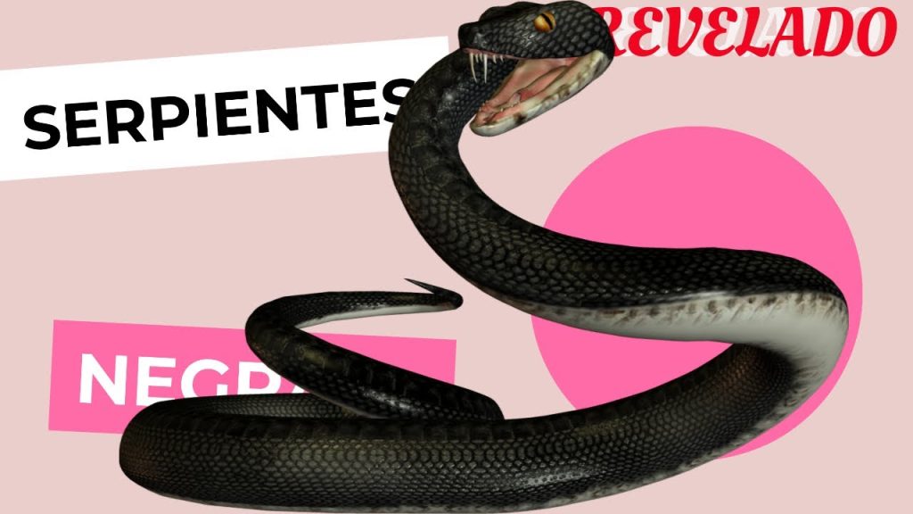 que significa sonar con una cobra negra