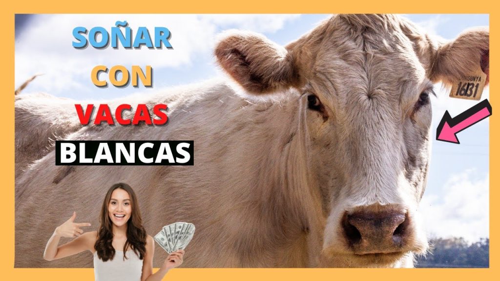 que significa sonar con una vaca blanca