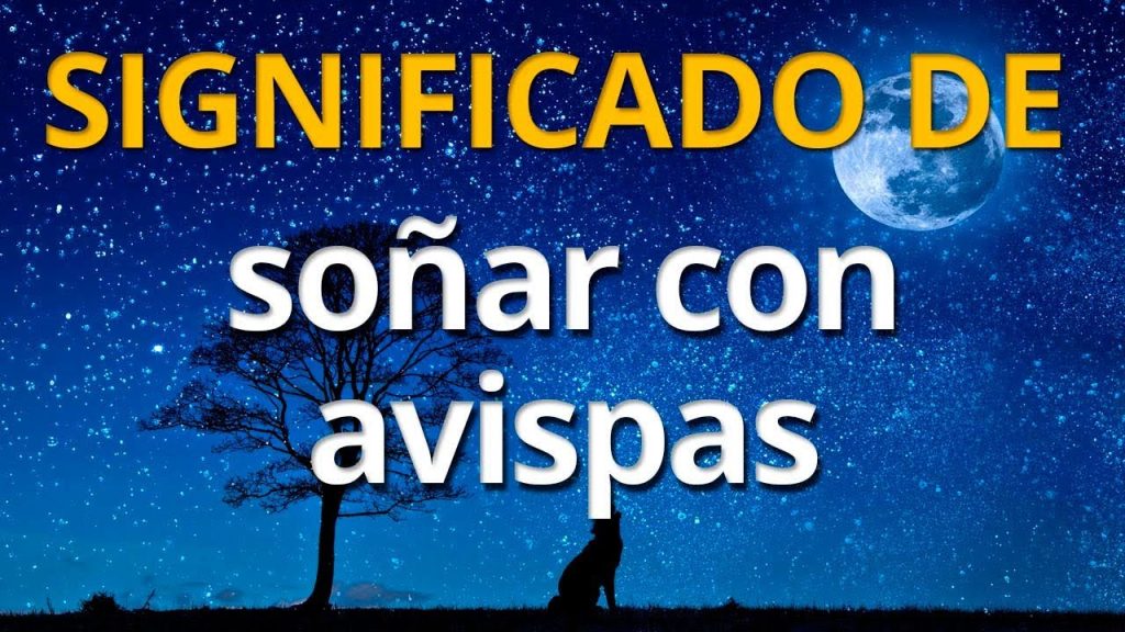 significado de sonar con avispas