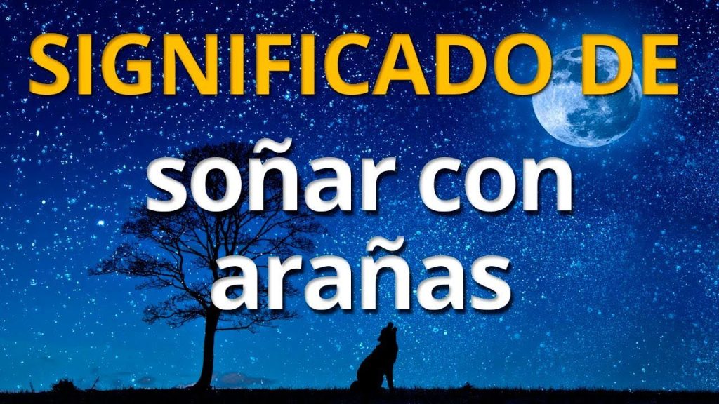 sonar con arana pequena