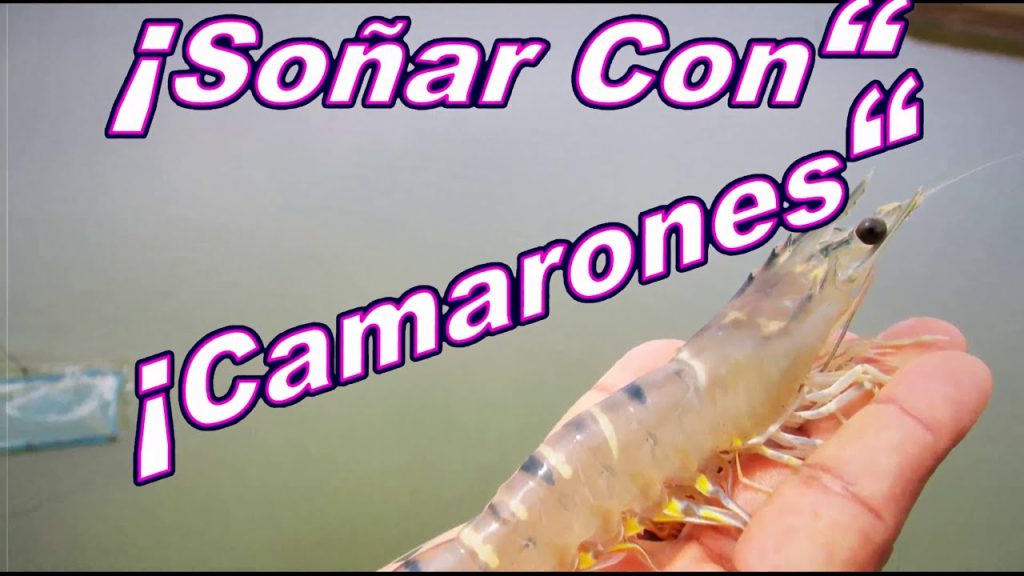 sonar con camarones vivos