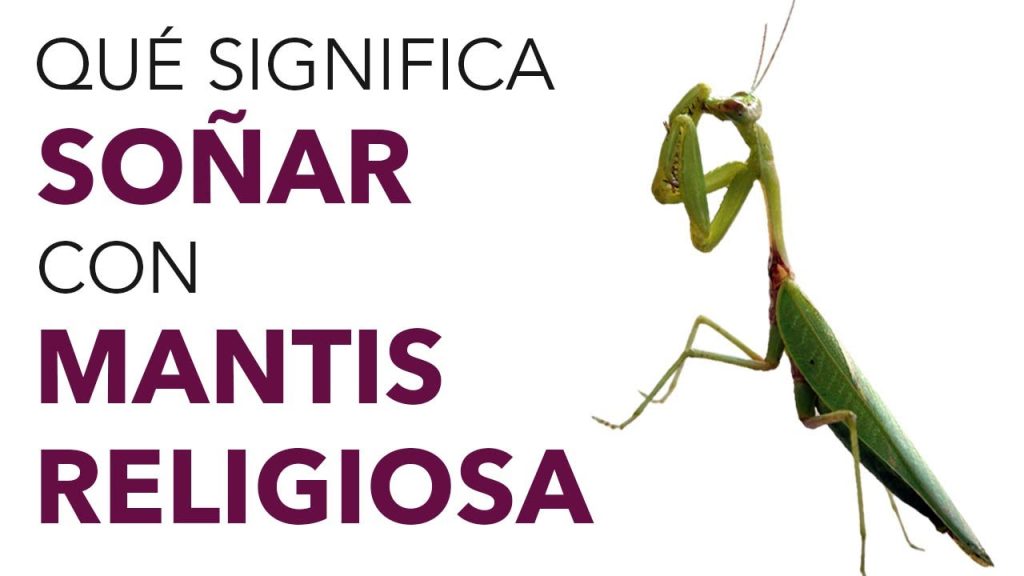 sonar con mantis religiosa