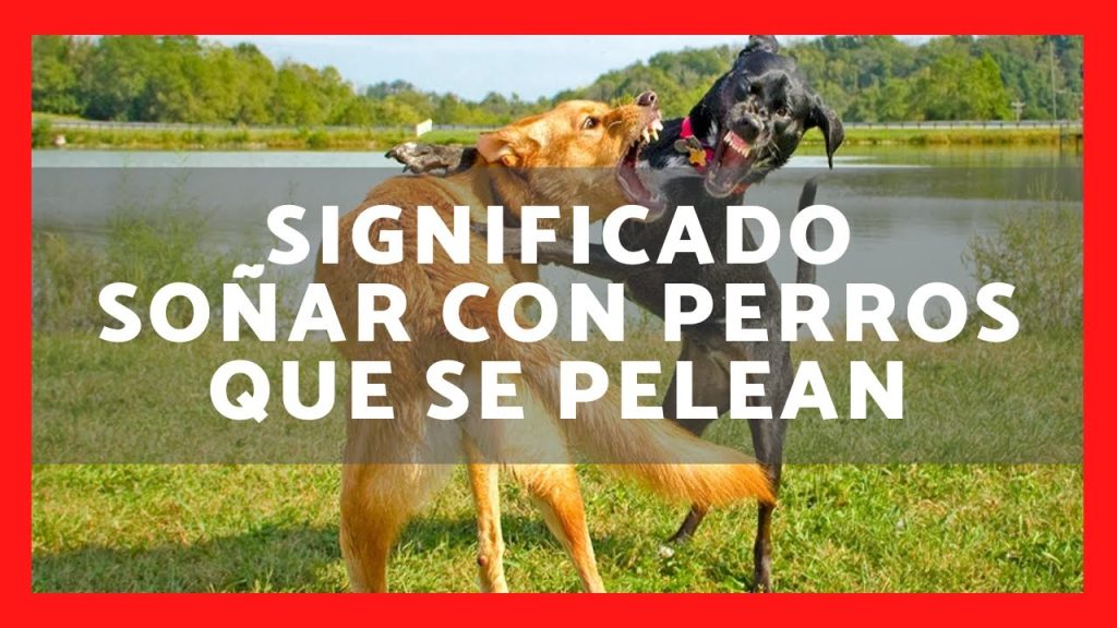 sonar con perros peleando