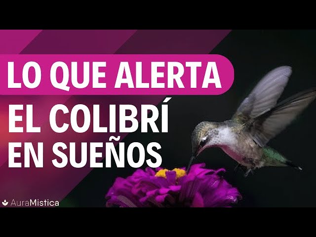 sonar con un colibri­