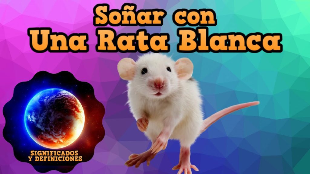 sonar con una rata blanca