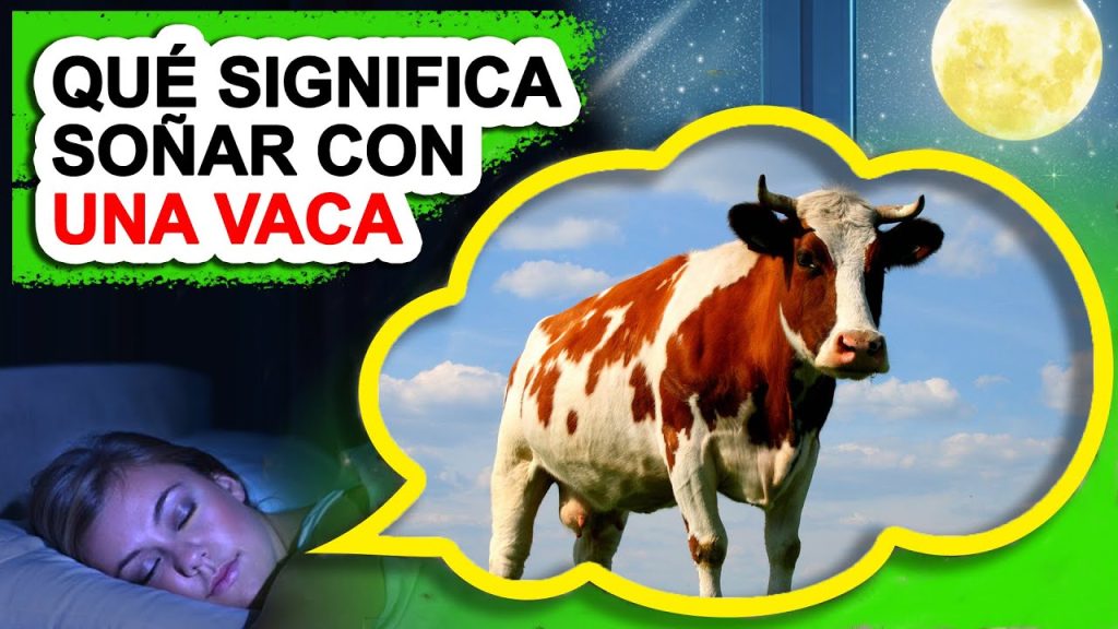 sonar con una vaca 2