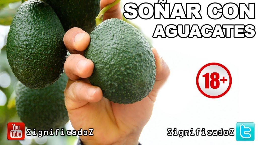 que significa sonar con aguacate