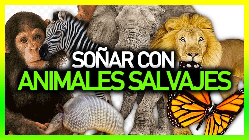 que significa sonar con animales salvajes 1