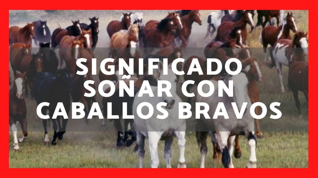 que significa sonar con caballos bravos