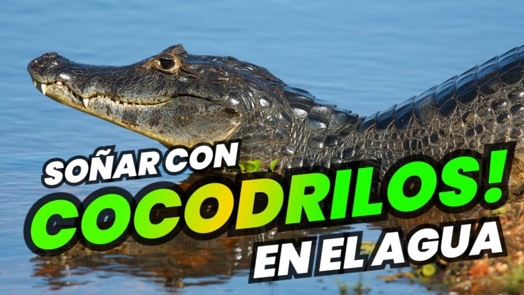 que significa sonar con cocodrilos en el agua