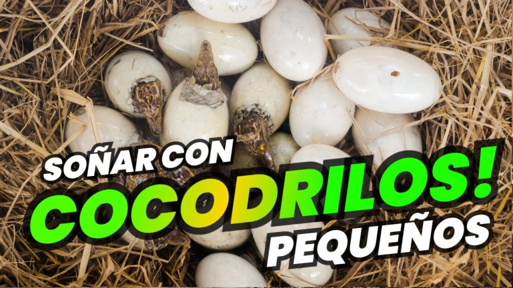 que significa sonar con cocodrilos pequenos