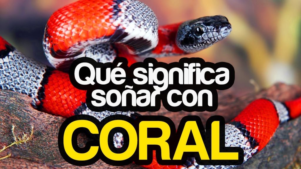 que significa sonar con coralillos