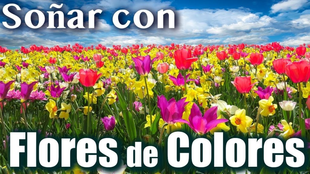 que significa sonar con flores de colores