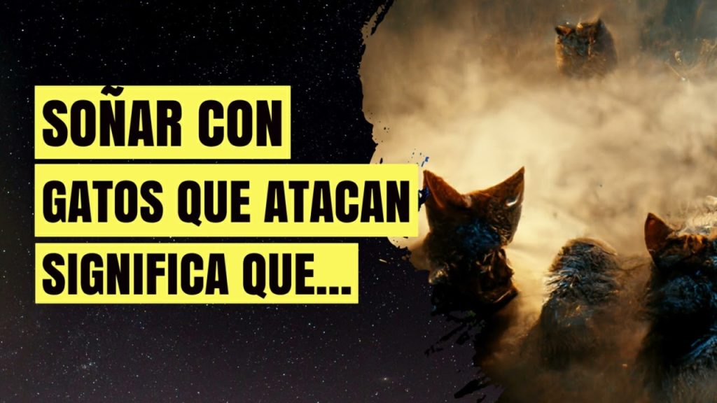 que significa sonar con gatos que te atacan