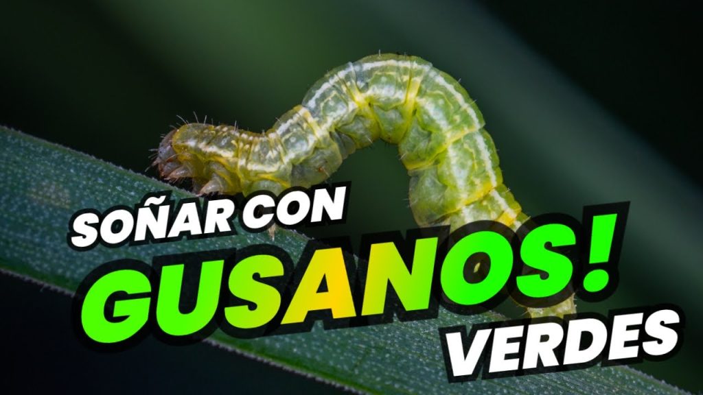 que significa sonar con gusanos verdes