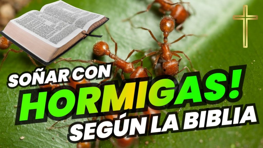 que significa sonar con hormigas segun la biblia