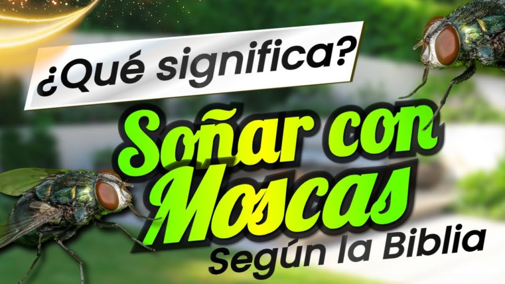 que significa sonar con moscas segun la biblia