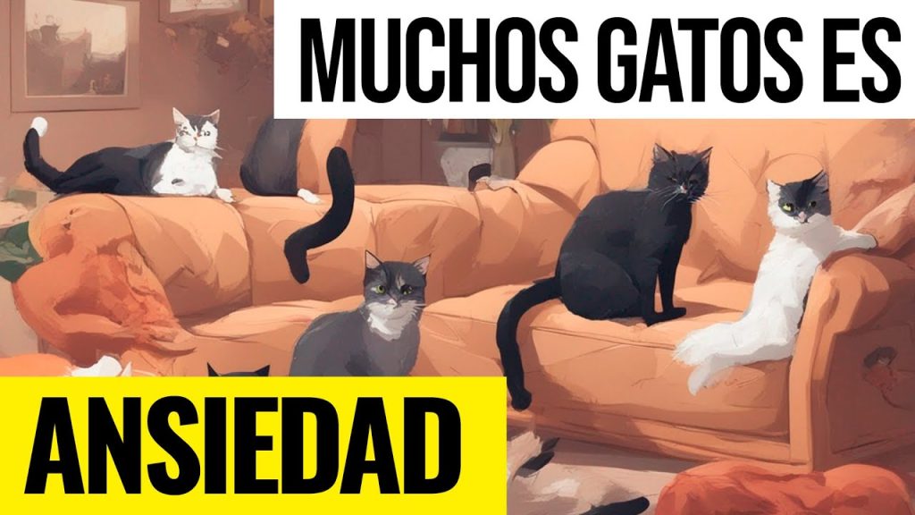 que significa sonar con muchos gatos en mi casa