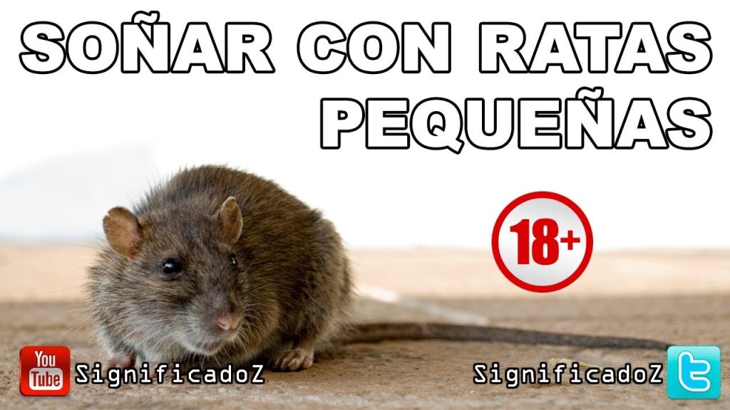 que significa sonar con ratas pequenas